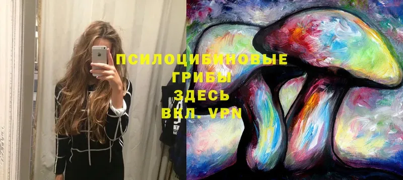 OMG зеркало  сколько стоит  Волжск  Псилоцибиновые грибы MAGIC MUSHROOMS 